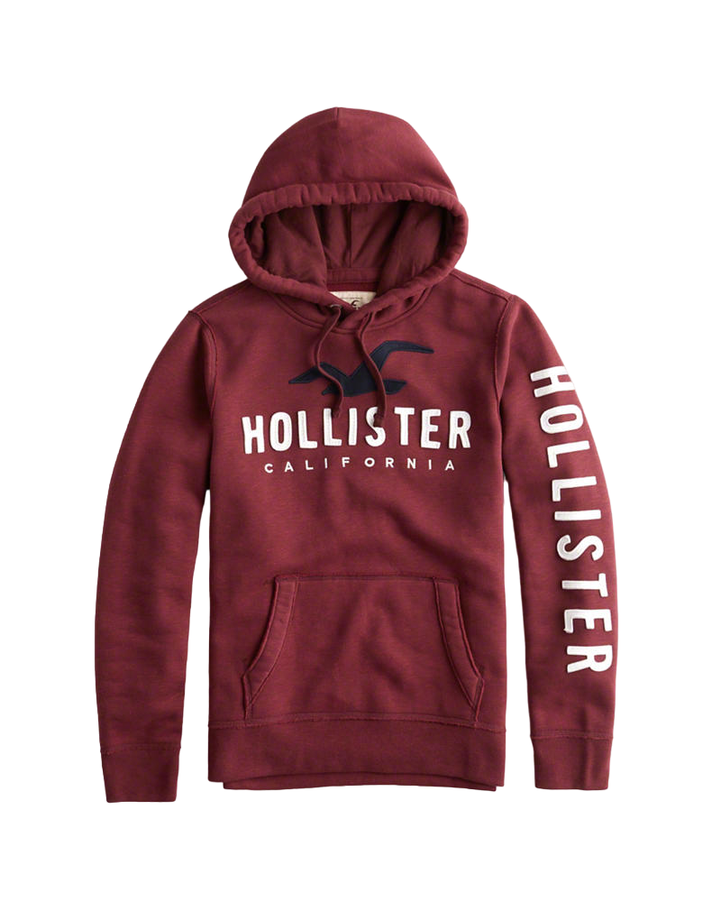 Hoodie Hollister